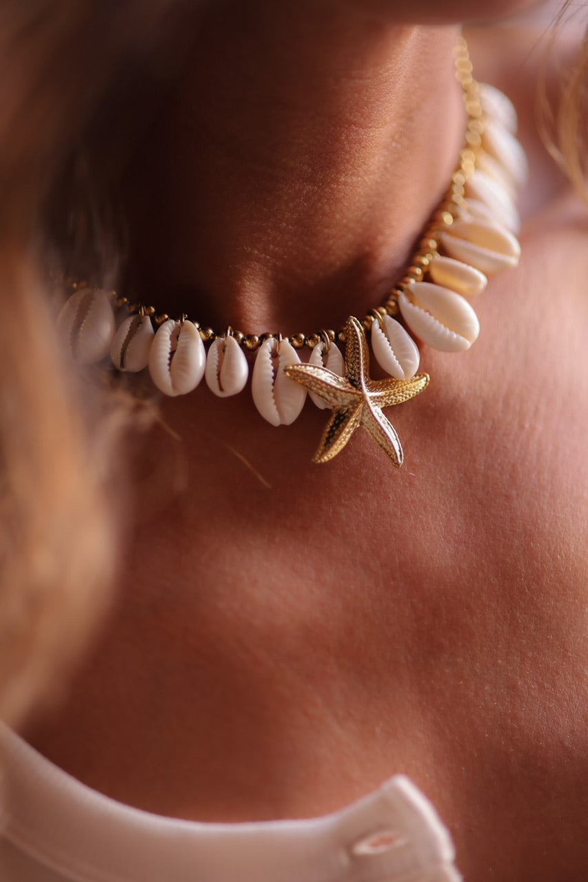 Collier Coquillages