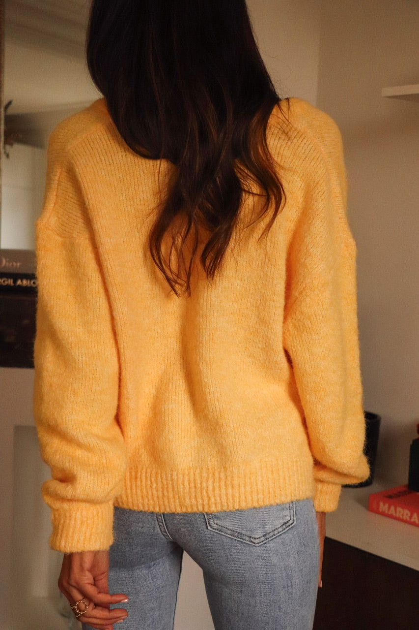 Gilet Abel jaune
