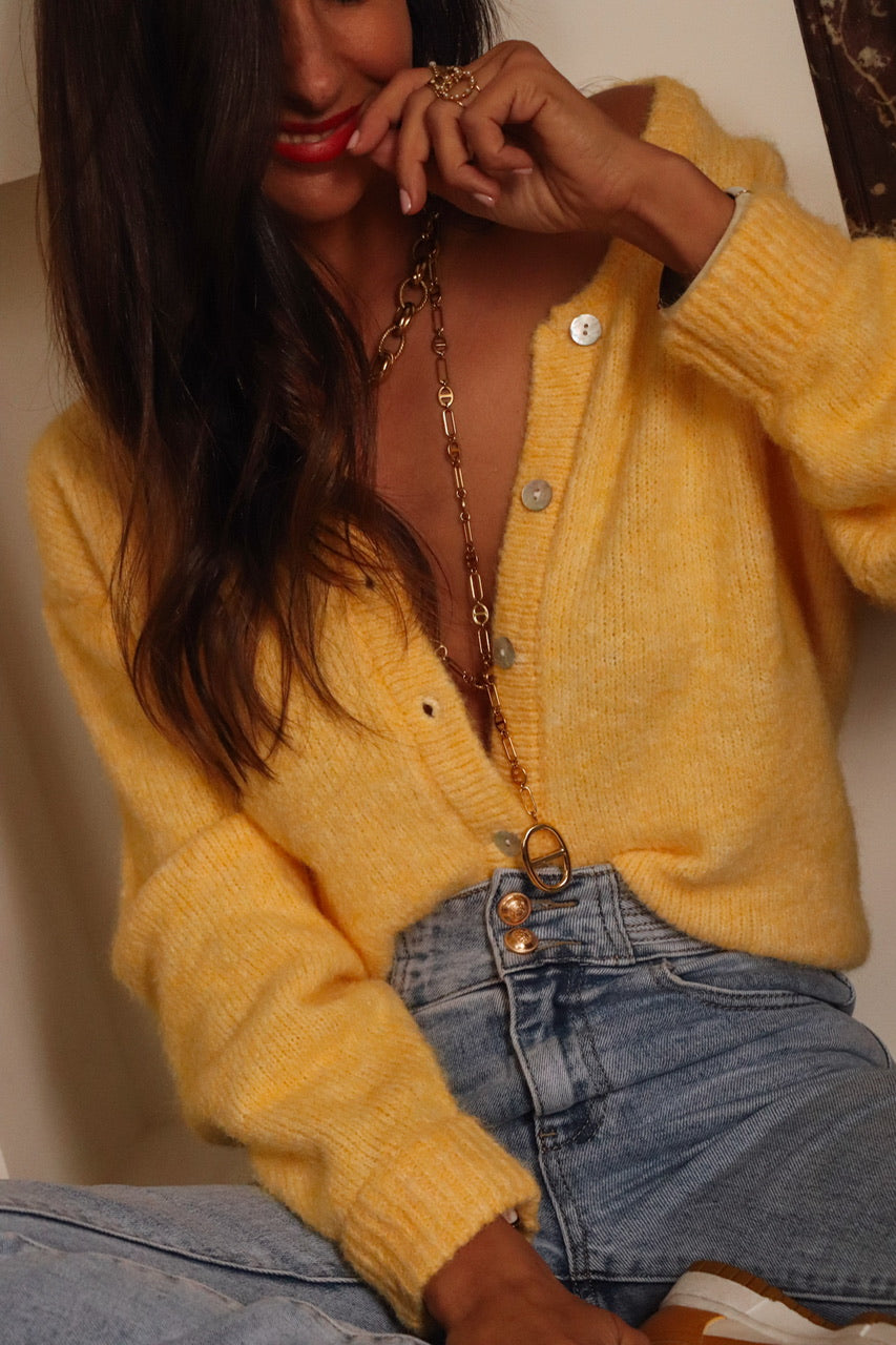 Gilet Abel jaune