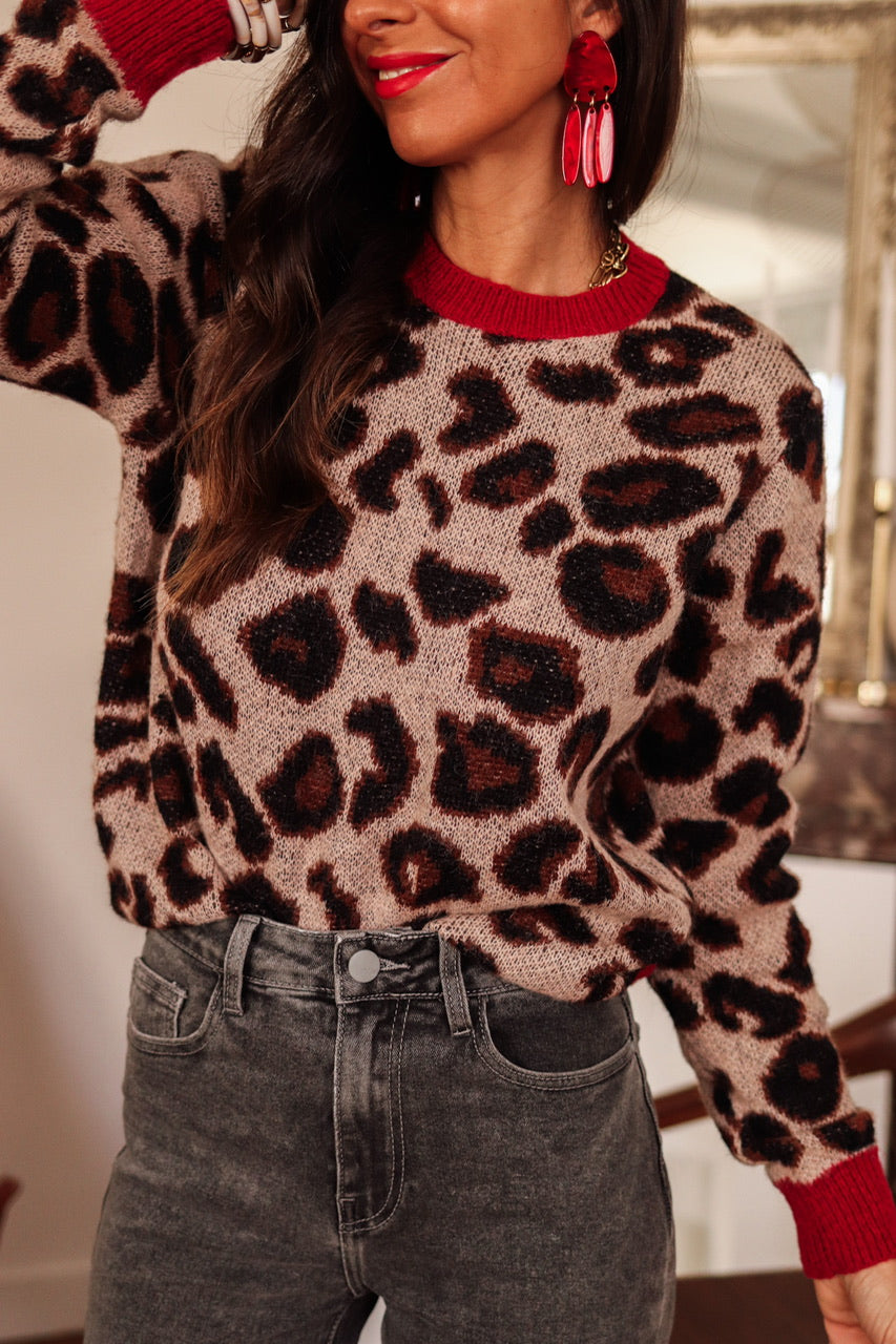 Pull Lenny Léopard