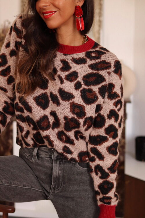 Pull Lenny Léopard